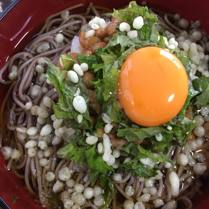 納豆おろし冷やし蕎麦